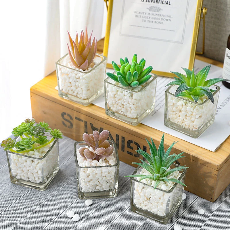 2020 Amazon Hot Selling Natural Artificial Succulent Plants Bonsai Plastic Succulent Plants Small Bonsai For Home Decoration