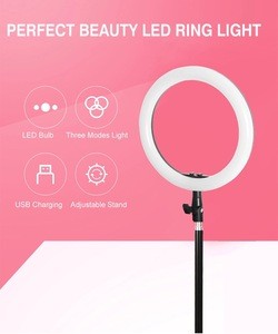 2020 hot sale Beauty 10 inch Tiktok Photographic Selfie Led Ring Light With Tripod Stand For Live Stream Makeup Youtube Video