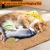 Import 2020 Newest fish with catnip toy Indoor Interactive Dancing Fish toy for Kitty Perfect for Biting Chewing Electric Fish Cat Toy from China