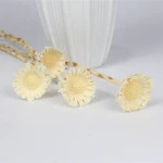 2021 hot sale Africa sun chrysanthemum for flower decoration