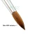 Import 2021 Professional #10 #12 100% Sable Metal 3D Brushes Black Color Nail Art Brush Kolinsky Acrylic Brush from China