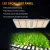 Import 240w IP65 spider sf 2000 quantum pcb board 301b full spectrum led grow light for hydroponic aeroponic farm from China