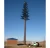 Import 25 Meter Self Supporting Steel Assambling Camouflage Types of Fiber Glass Pine Trees Wi Max Lte Telecom  Tower from China