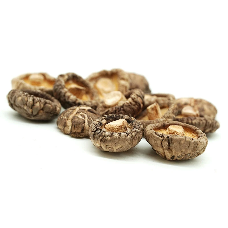 3-4cm China dried shitake mushroom is organic dried food high quality shiitake mushroom wholesale price