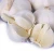 Import 3-7cm fresh white garlic natural garlic price from China