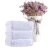 Import 32S white Egyptian cotton face towel suitable for luxury hotel sports SPA from China