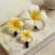 Import 4-9cm Foam Hawaii Beach Flowers For Wedding Party Box Decoration DIY Artificial Garland Supplies Summer Wreath Craft from China