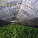 50%-90% Shade rate Green, Black HDPE Shade Cloth, Shade Netting for Agriculture Use