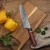 Import 8inch 20cm chef 67 Layers professional Japanese imported AUS-10 Damascus steel G10 Glass fiber handle high quality kitchen knife from China