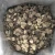Import 9016 Song Lu wild dried fresh truffles black mushroom from China