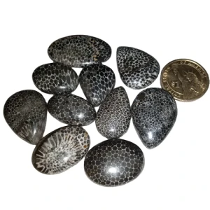 AAA + Quality Natural Beautiful Snake Skin Black Fossil Loose Gemstone Cabochon Lot For Healing Jewelry Wholesale Gemstone