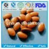 Active Food Supplement Glucosamine Chondroitin Tablet