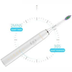 Adult rechargeable ultrasonic electric toothbrush head smart waterproof sonic electric toothbrush