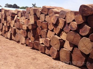 African raw material wood for furniture.