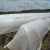 Agriculture nonwoven fabric UV stabilized crop cover fabric frost protection for plants