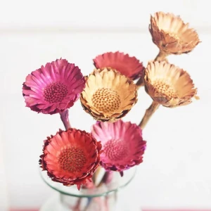 Amazon wholesale dried flowers dried African sun chrysanthemum flower for daily decoration 4 buyers