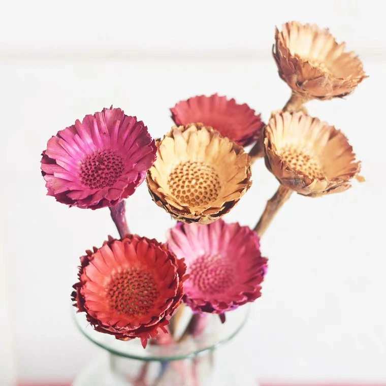 Amazon wholesale dried flowers dried African sun chrysanthemum flower for daily decoration 4 buyers