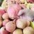 apple fruit fresh fruit juice dubai fuji apple to bangladesh market