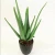 Import Artificial aloe bonsai plants for decorationfor Garden decoration from China