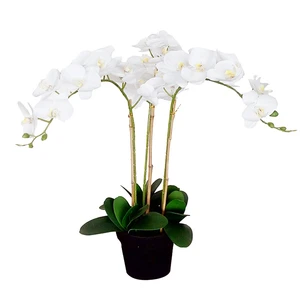 Artificial butterfly orchid flower for home decor 5212