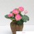 Import Artificial Lotus Flowers,  Water Lily Simulation Tabletop Flower for Party, Home Office Arrangements Indoor Outdoor Decoration from China