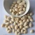 Import Bai Guo Best selling Ginkgo nuts Fresh Raw Ginkgo Nuts from China