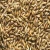 Import Barley For Animal Feed from India