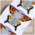 Import Beautiful Star S M L Ll Nail Art Extension Butterfly Shape Nail Form from China