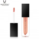 Beauty Cosmetics High Shine Vegan Tented Pigmented Lip Gloss Free Logo For Girls