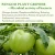 Import Beneficial microorganisms for plants from China