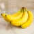 Import Best Export Grade Cavendish Bananas from Canada