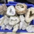 Import Best quality healing crystals natural rock raw white agate quartz geode crystal mineral for home decoration from China