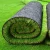 Import Best Selling 16mm 84000st PE Golf Putting Green Artificial Turf Grass carpet from China