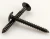 Import Black Phosphated Bugle Head Phillips Coarse Thread Drywall Screws from China
