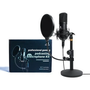 BM 700 Professional Desktop Microphone Studio Karaoke Microphone