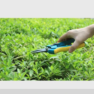 Branch leaf pruning hand grass cutting shears pakistan scissors