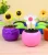 Import Brics summit good sale Solar Powered Dancing Flower Toy from China