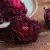 Import Bulk dry blooming Flower tea ball dried herbal weight loss tea rose tea organic from China