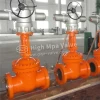 Carbon Steel Flange End Electrical Motor Operated Gate Valve