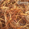 Cathode Copper Scrap 99.99% Hot sale