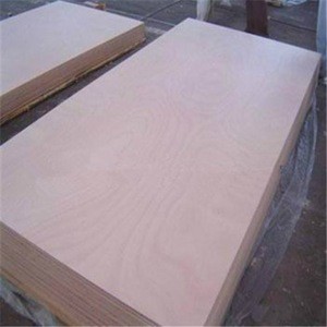Cheap price 4x10 birch plywood