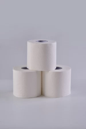 China manufactory clean and healthy toilet tissue toliet paper with cheap price