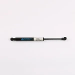 China Manufacture Automobiles Spare Parts Customized Stay Damper Hardware Automobile Gas Strut