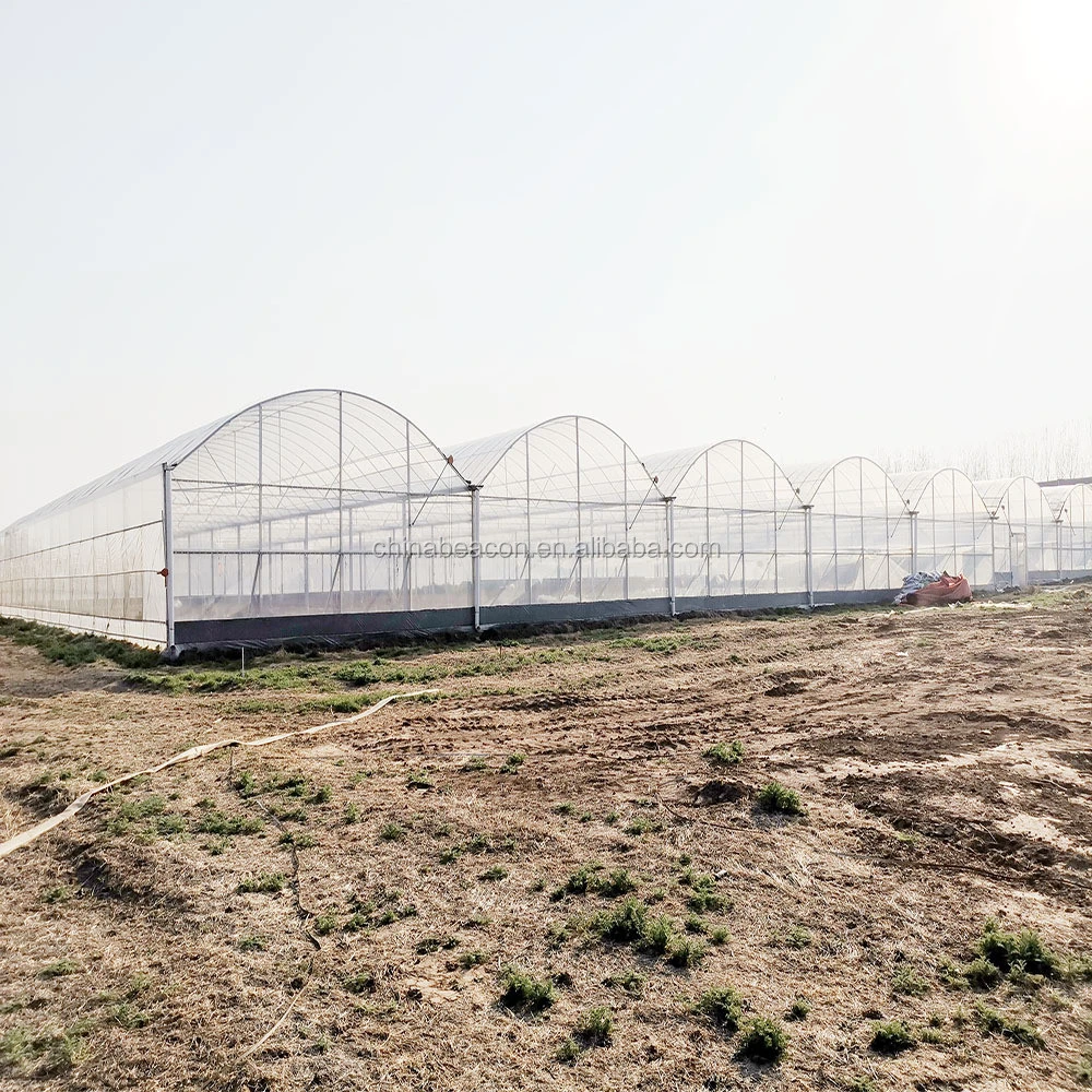 China Supplier Multi-span Plastic Film Agriculture Greenhouses For Sale