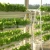 Import China  supplies of nft channel hydroponics growing systems vertical kit for strawberry garlic and garden from China