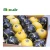 Import China Yellow Lemon With Farm Price High Quality Fresh Eureka Lemon from China