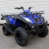 Chinese Cheap ATV 250cc ATV Automatic Clutch 250cc Utility ATV For Sale XA 250U