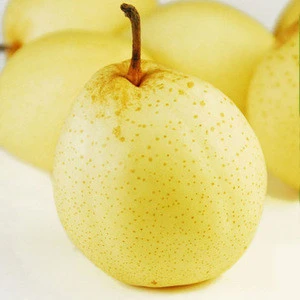 Chinese Fresh Pear Hosui Pear/ Fengshui Pear