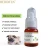 Import Chinese herbal medicine immune system booster for dogs and cats immune support medicine for dogs resist illness from China