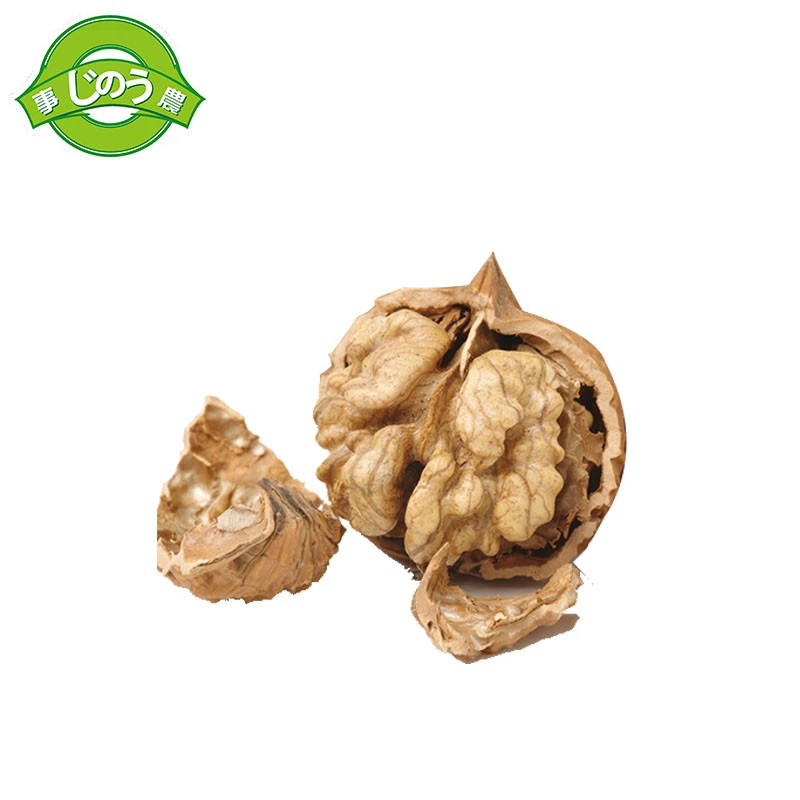 Chinese High Quality And Cheap Price Walnuts Organic